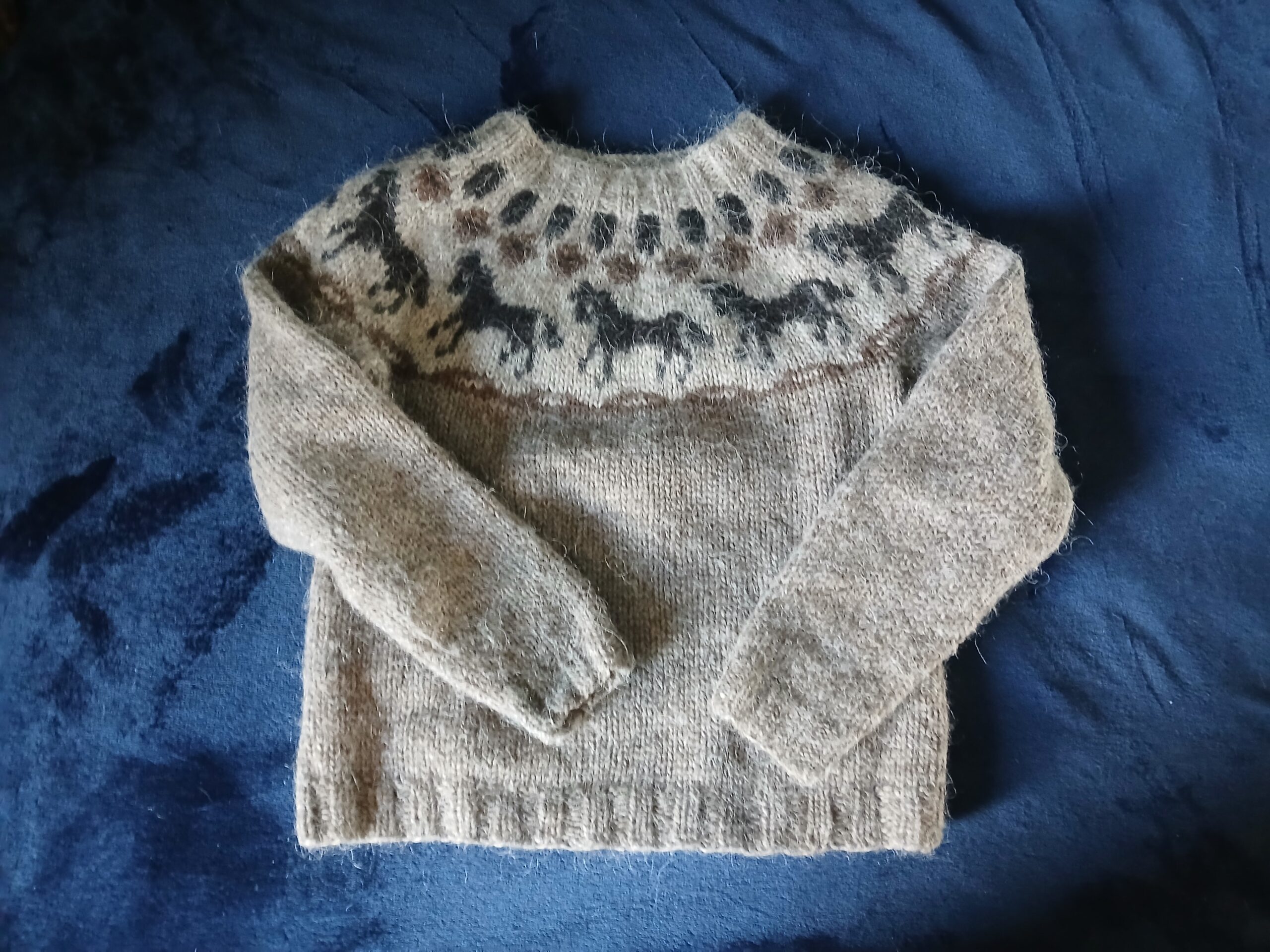 Icelandic sweater
