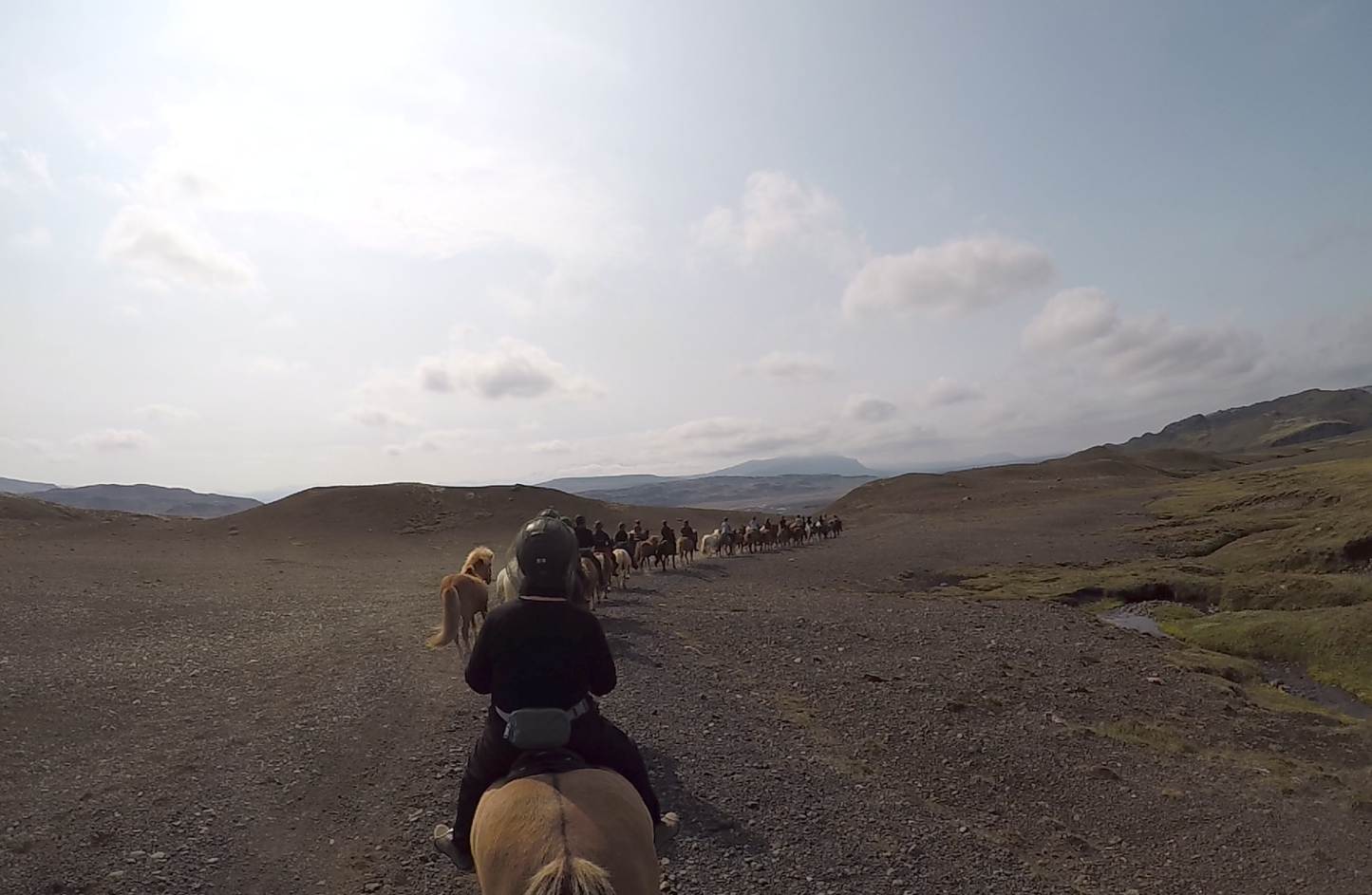 Horse riding iceland