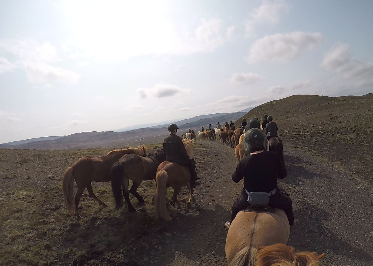 Horse riding iceland
