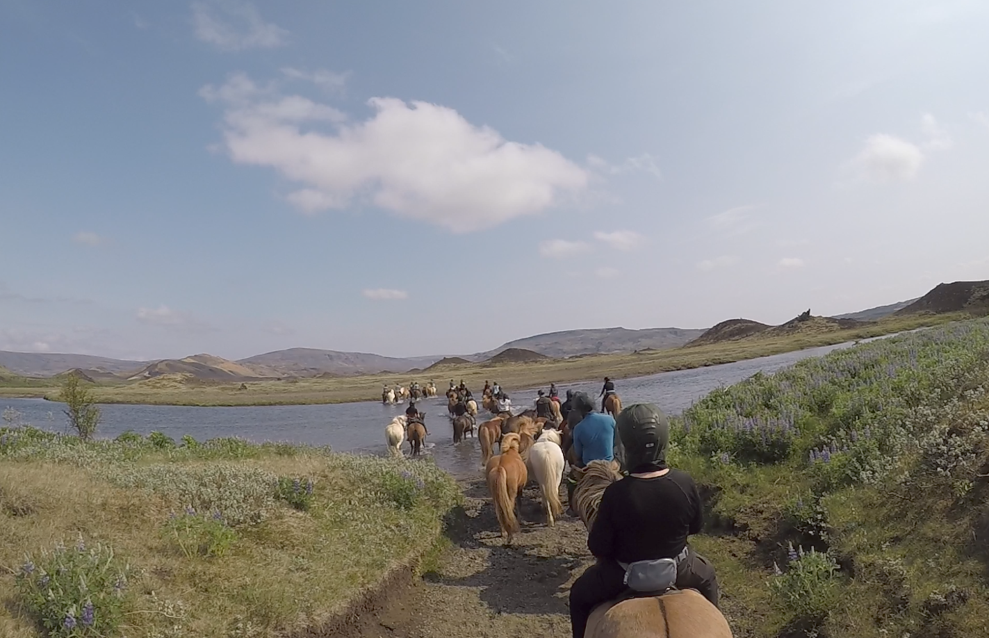 Horse riding iceland