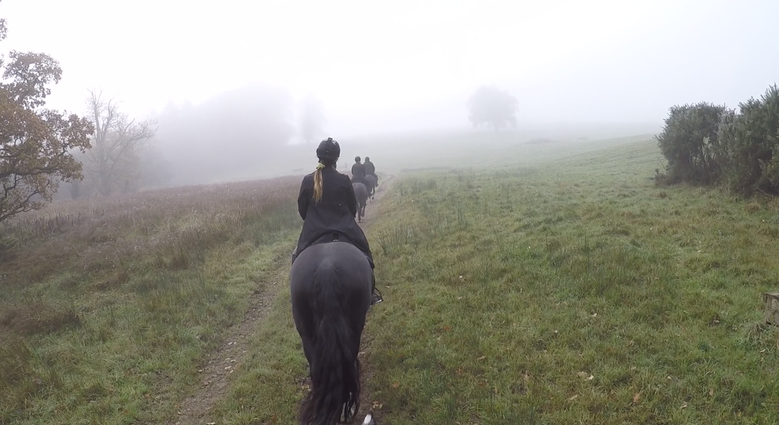 Horse riding at castle leslie