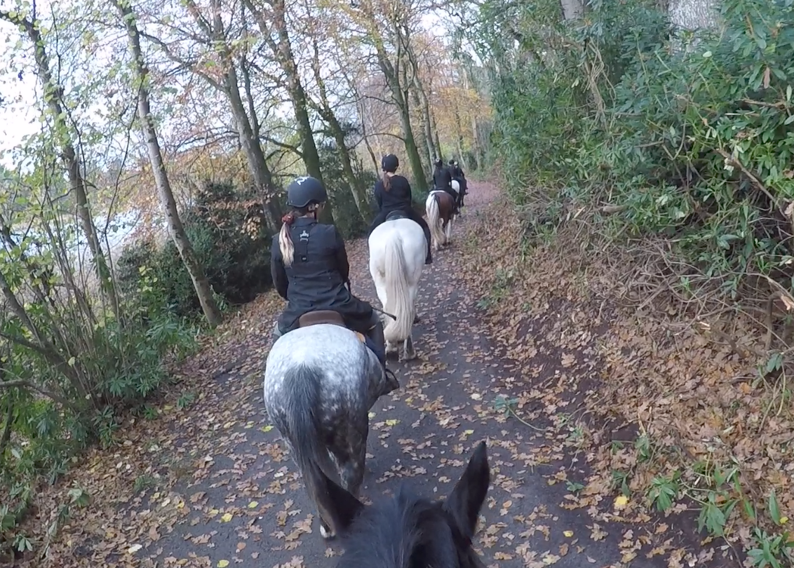 horse riding at castle leslie