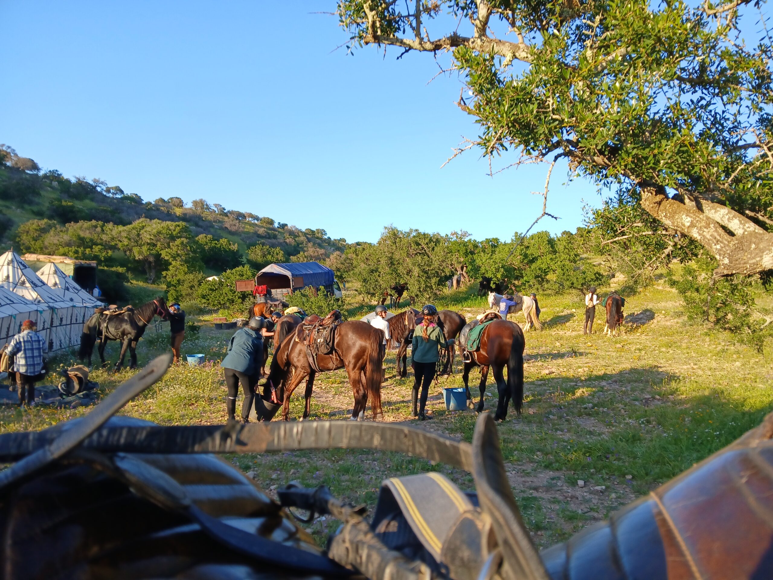 Horse campsite in Morocco